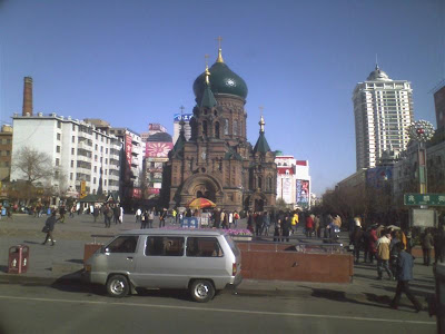 11061218 (Medium).jpg