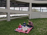 IMG_0065-3.JPG