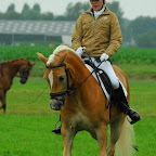 SonniusHippiquePonysDressuur