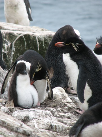 [IMG_2457%255B4%255D.jpg]