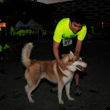 Pet Express Doggie Run 2012 Philippines. Jpg (4).JPG