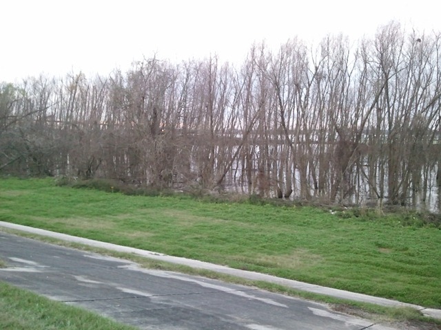 2012-02-12 06.51.48