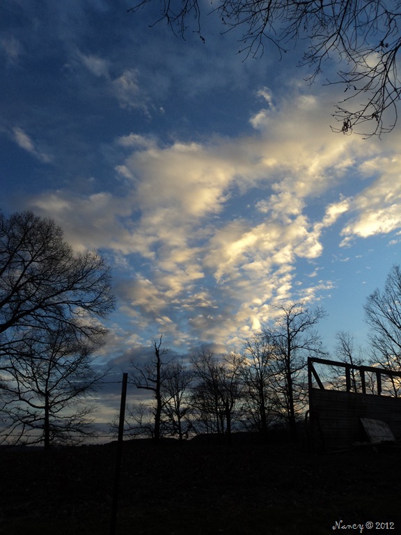 [DSC063327.jpg]