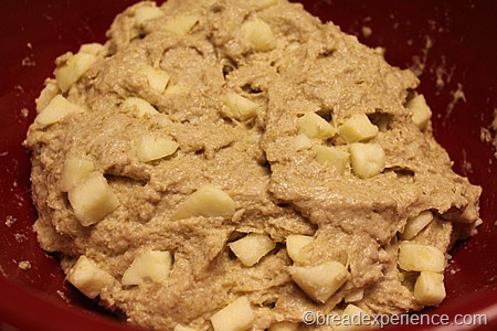 [apple-honey-whole-grain-challah_0654%255B2%255D%255B1%255D.jpg]
