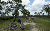 DSC01579.JPG Photo