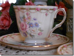 DSCN0154
