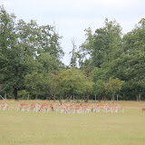 IMG_2786.JPG