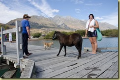 Ponywharf-4
