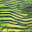 Philippines- Banaue