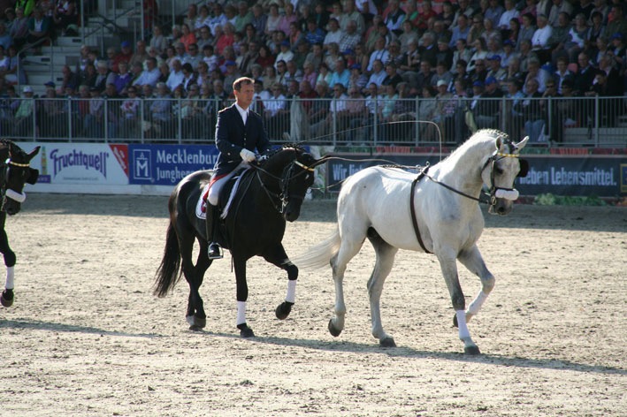 [IMG_1830%255B6%255D.jpg]