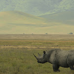Africa6.JPG