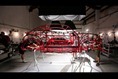 VW-Shark-Week-Beetle-4 VW-Shark-Week-Beetle-4