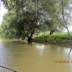 IMG_5783.JPG