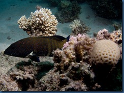 IMG_0147 IMG_0147