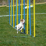 Aprílový lvíček - 1.4.2007 - část prvá