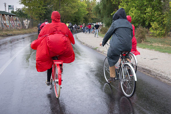 critical-mass-galeria-16.jpg