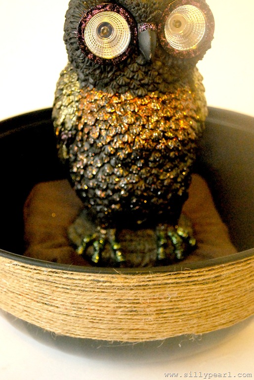 [HalloweenCandyBowl114.jpg]
