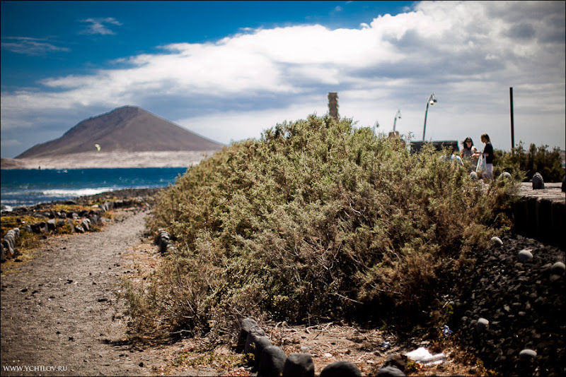 042 www.ychilov.ru foto tenerife.jpg