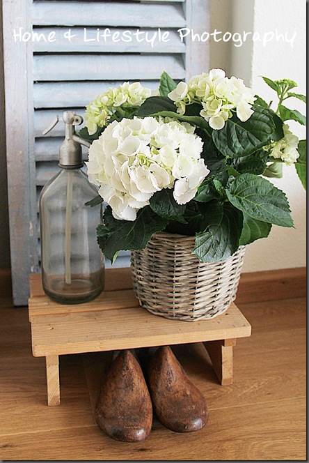 Home & Lifestyle Home & Lifestyle