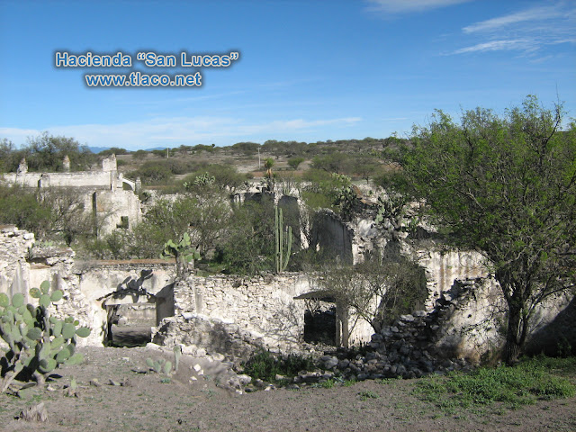 Palmillas-Hacienda-Tlacotepec (3).JPG