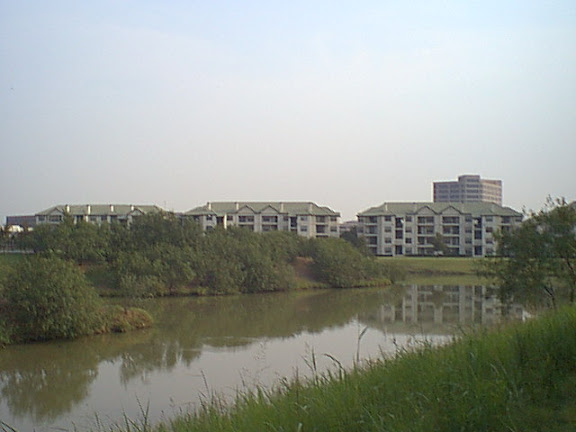 Panoramic view to Irving
