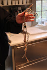 Karen also brought an assortment of show leashes, which have gotten very fancy since your grandfather, Paw Paw, was a show dog.