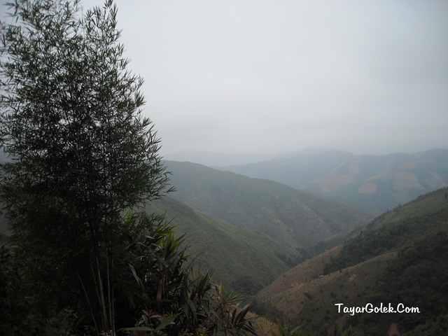 [DSCN80852.jpg]