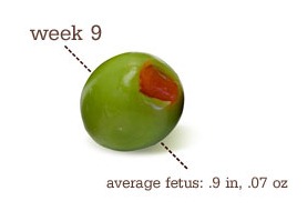 [week9%255B3%255D.jpg]