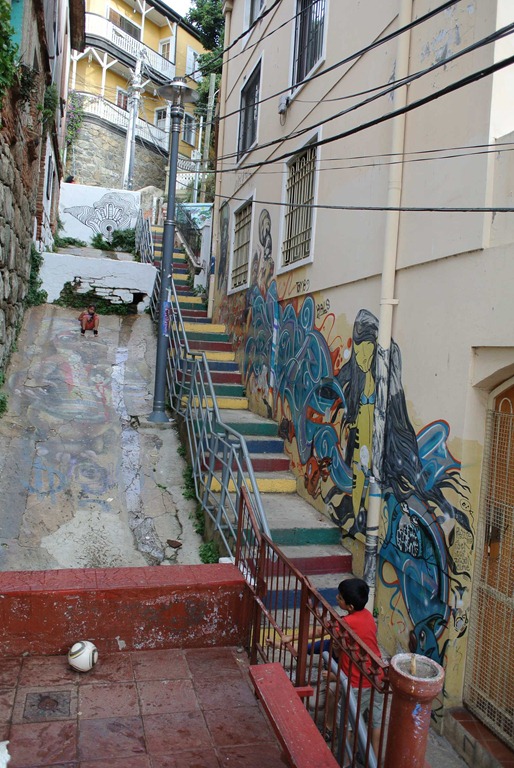 DSC_8517 DSC_8517