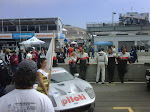 IMG00515-20091010-1407.jpg