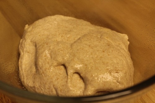 [italian-spelt-bread0025.jpg]