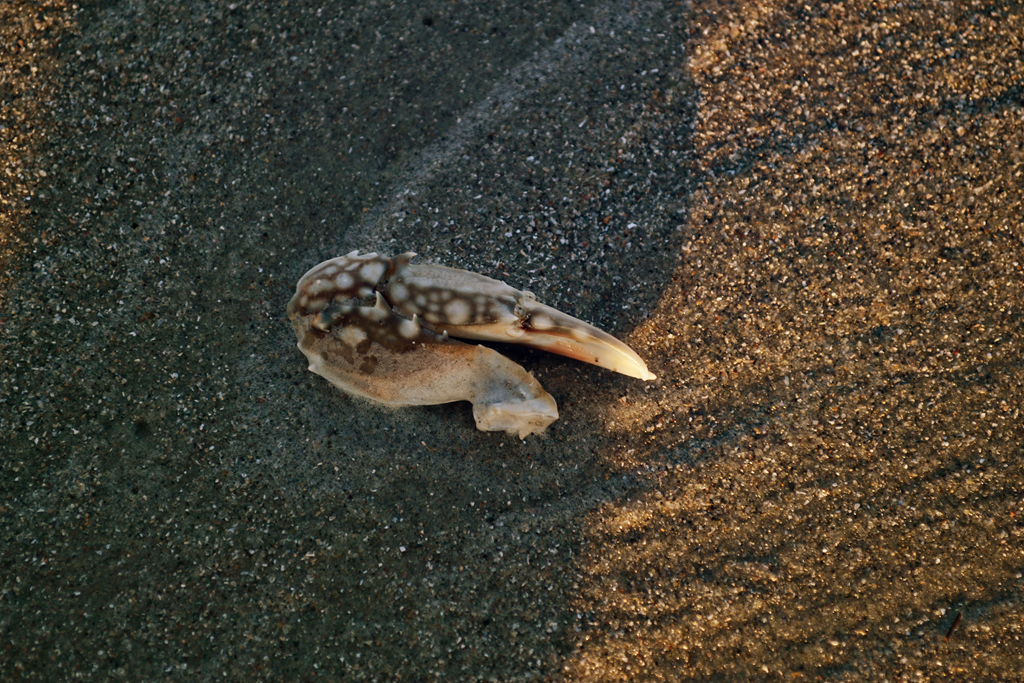[DSC_0244_edited-14.png]