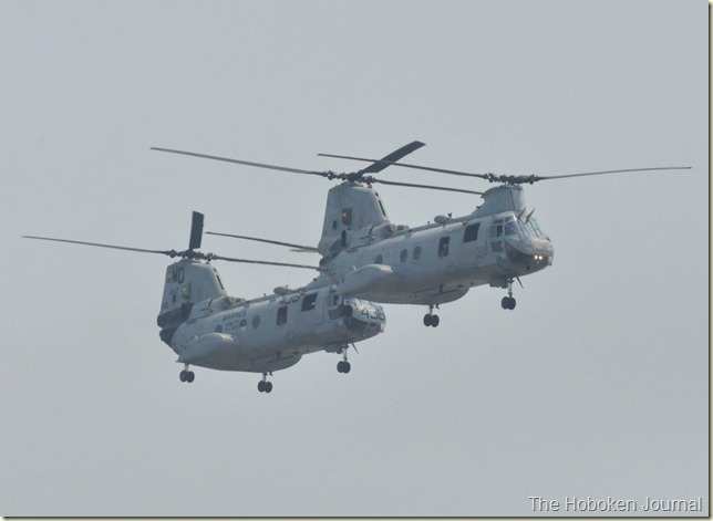 DSC_0694 DSC_0694