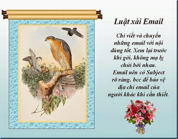 luat xài  email