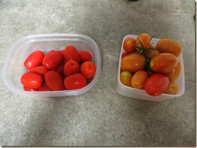 20140522_Tomatoes