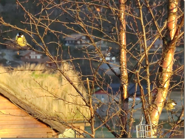oktober 2011 064