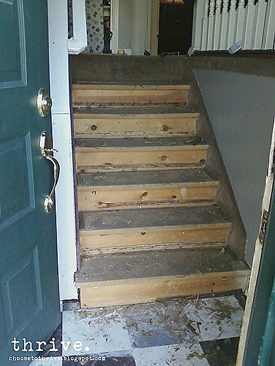 floor