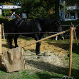 Slag om Grolle 2012 128 (Custom).JPG