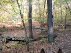 creek crossing on main trail heading West from campground