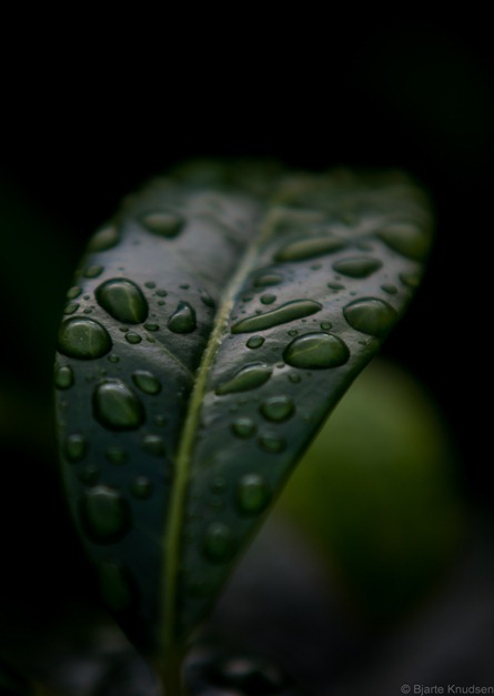 IMGP9555 IMGP9555