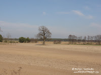dsc07318.jpg