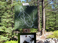 IMG_2838.JPG Photo