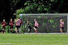 20130608 - WVV E3 - WESTERLEE TOERNOOI - 029.jpg