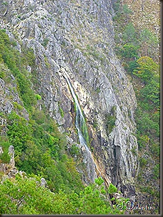 P1180200 P1180200