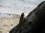 IMG_1157.JPG