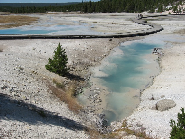 [NorrisGeyserBasin7612.jpg]