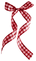 jss_pinchanddash_gingham bow 1 red