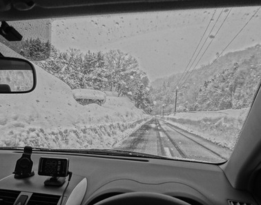 DSC04399 DSC04399
