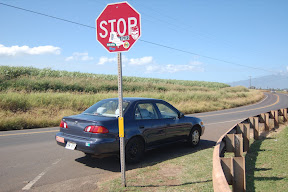 DSC_0619.JPG