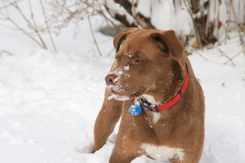 [IMG_0842%255B4%255D.jpg]